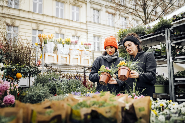Blumen